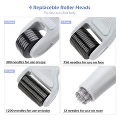 Derma Roller Set Of 6 In 1